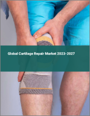 Global Cartilage Repair Market 2023-2027