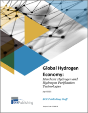 Global Hydrogen Economy: Merchant Hydrogen and Hydrogen Purification Technologies