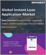 Global Instant Loan Application Market Size, Share, Growth Analysis, By End-Users(Commercial, Personal), By Deployment Type(Cloud, On-Premise) - Industry Forecast 2022-2028