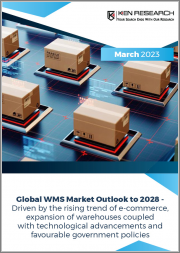 Global WMS Market Outlook to 2028