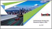 Autonomous Driving SoC Research Report, 2023