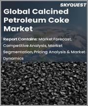 Global Calcined Petroleum Coke Market Size, Share, Growth Analysis, By Type(Anode Grade, Needle Grade), By End Use(Carburizing & Recarburizing Electric Arc & Induction Furnaces, Others) - Industry Forecast 2022-2028