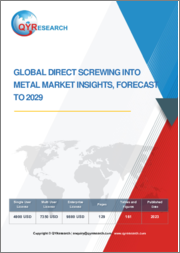 Global Direct Screwing into Metal Market Insights, Forecast to 2029