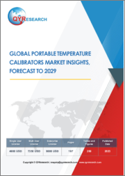 Global Portable Temperature Calibrators Market Insights, Forecast to 2029