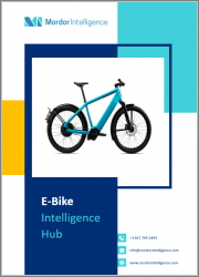 E-Bike Intelligence Hub