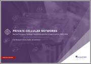 Private Cellular Networks: Market Forecasts, Strategic Recommendations & Opportunities 2023-2028