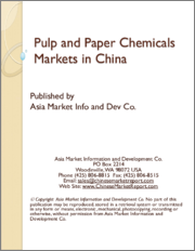 Pulp and Paper Chemicals Markets in China