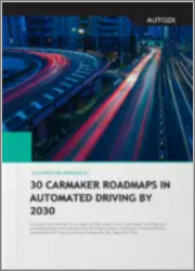 Autonomous Driving Roadmaps Level 1-4 of 30 Major Carmakers by 2030