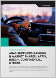 Rankings & Market Shares of the Top 20 ADAS Suppliers in Automated Driving