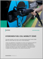 Hydrogen Fuel Cell Mobility 2040