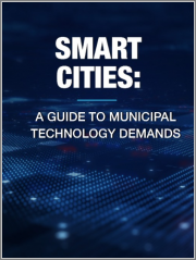 Smart Cities: A Guide to Municipal Technology Demands