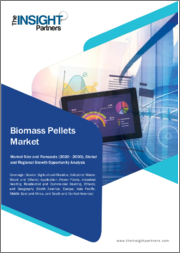 Biomass Pellets Market Forecast to 2030 - Global Analysis by Source (Agricultural Residue, Industrial Waste, Wood, and Others) and Application (Power Plants, Industrial Heating, Residential and Commercial Heating, and Others)