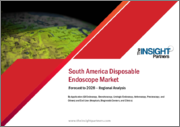 South America Disposable Endoscope Market Forecast to 2028 -Regional Analysis - by Application (GI Endoscopy, Bronchoscopy, Urologic Endoscopy, Arthroscopy, Proctoscopy, and Others) and End User (Hospitals, Diagnostic Centers, and Clinics)