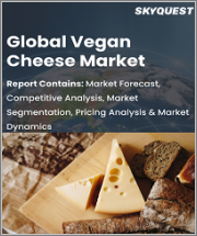 Global Vegan Cheese Market Size, Share, Growth Analysis, By Source(Soy, Almond), By End-User(B2B, B2C) - Industry Forecast 2023-2030