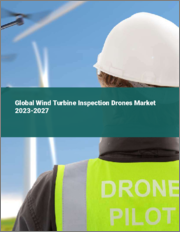 Global Wind Turbine Inspection Drones Market 2023-2027