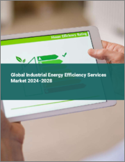 Global Industrial Energy Efficiency Services Market 2024-2028