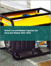 Global Low and Medium Capacity Gas Generator Market 2024-2028