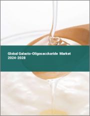 Global Galacto-oligosaccharide Market 2024-2028
