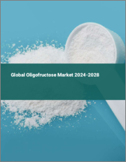 Global Oligofructose Market 2024-2028