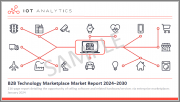 B2B Technology Marketplaces Market Report 2024-2030