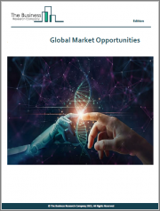 Endoscopic Camera Global Market Report 2024