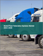 Global Fleet Telematics Systems Market 2024-2028