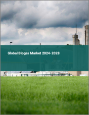 Global Biogas Market 2024-2028