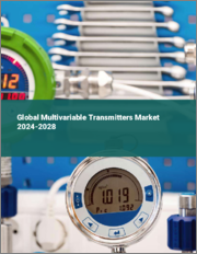 Global Multivariable Transmitters Market 2024-2028
