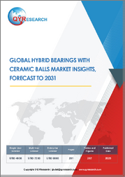 Global Hybrid Bearings with Ceramic Balls Market Insights, Forecast to 2031