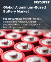 Aluminum-Based Battery Market Size, Share, and Growth Analysis, By Type (Aluminum-ion battery, Aluminum-air battery), By Capacity (0-200 MAH, 200-600 MAH), By Application, By End-use, By Region - Industry Forecast 2026-2033