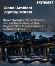 Ambient Lighting Market Size, Share, and Growth Analysis, By Offering (Hardware, Software and Services), By Type (Surface-mounted Lights, Suspended Lights), By End User, By Region - Industry Forecast 2026-2033