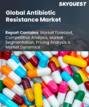 Antibiotic Resistance Market Size, Share, and Growth Analysis, By Disease, By Pathogen, By Drug Class, By Pathogen Type, By Mechanism of Action, By Distribution Channel, By Region - Industry Forecast 2026-2033