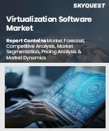 Virtualization Software Market Size, Share, and Growth Analysis, By Virtualization Type, By Organization Size (Small and Medium-sized Enterprises, Large Enterprises), By Industry Vertical, By Region - Industry Forecast 2026-2033