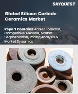 Silicon Carbide Ceramics Market Size, Share, and Growth Analysis, By Type, By Application, By End-use industry, By Region - Industry Forecast 2026-2033