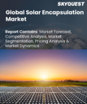 Solar Encapsulation Market Size, Share, and Growth Analysis, By Materials (Ethylene Vinyl Acetate, Thermoplastic Polyurethane ), By Technology, By Application, By Region - Industry Forecast 2026-2033