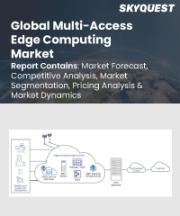 Multi-Access Edge Computing Market Size, Share, and Growth Analysis, By Offering, By Enterprise Size (Small and Medium-sized Enterprises, Large Enterprises), By Network Type, By End-Use, By Region - Industry Forecast 2026-2033