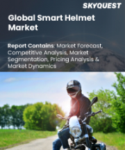 Smart Helmet Market Size, Share, and Growth Analysis, By Product Type (Full-Face Smart Helmets, Open-Face Smart Helmets), By Application (Motorcycle Riding, Cycling), By Connectivity, By Features, By Price Range, By Region - Industry Forecast 2026-2033