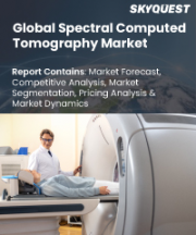 Spectral Computed Tomography Market Size, Share, and Growth Analysis, By Product Type (Spiral CT, Electron Beam Tomography), By Technology (Dual-Layer Detector, Gemstone Spectral Imaging Detector), By End User, By Region - Industry Forecast 2026-2033