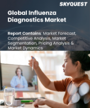 Influenza Diagnostics Market Size, Share, and Growth Analysis, By Product (Test kit & Reagents, Instruments), By Test (Molecular Diagnostic Test, Transcription Mediated Amplification Based Assay), By End User, By Region - Industry Forecast 2026-2033