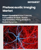 Photoacoustic Imaging Market Size, Share, and Growth Analysis, By Product (Imaging System, Transducers), By Technology (Photoacoustic Microscopy, Photoacoustic Imaging), By Type, By Application, By End User, By Region - Industry Forecast 2026-2033