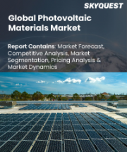 Photovoltaic Materials Market Size, Share, and Growth Analysis, By Component (Modules, Inverters), By Product (Back Sheets, Encapsulants), By Material, By Cell Type, By Installation Type, By Application, By Region - Industry Forecast 2026-2033
