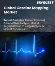 Cardiac Mapping Market Size, Share, and Growth Analysis, By Type (Contact Cardiac Mapping Systems, Non-Contact Cardiac Mapping Systems), By Indication (Atrial Fibrillation, Atrial Flutter), By End User, By Region - Industry Forecast 2026-2033