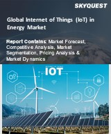 Internet of Things (IoT) in Energy Market Size, Share, and Growth Analysis, By Component (Platform, Solutions), By Solution (Asset Management, Safety), By Service, By Network Technology, By Application, By Region - Industry Forecast 2026-2033