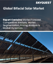 Bifacial Solar Market Size, Share, and Growth Analysis, By Power Capacity (Upto 200 WP, 201-400 WP), By Panel Type (Monocrystalline, Polycrystalline), By Frame Type, By Cell Technology, By Application, By Region - Industry Forecast 2026-2033