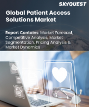Patient Access Solutions Market Size, Share, and Growth Analysis, By Product (Web & Cloud-Based Solutions, On-Premises Solution), By End User (Healthcare Providers, HCIT Outsourcing Companies), By Type, By Region -Industry Forecast 2026-2033