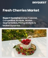 Fresh Cherries Market Size, Share, and Growth Analysis, By Product Type (Sweet Cherries, Sour Cherries), By Application (Fresh Consumption, Processed Products), By Distribution Channel, By End User, By Region - Industry Forecast 2026-2033