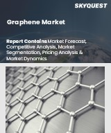 Graphene Market Size, Share, and Growth Analysis, By Type (Bulk Graphene, Monolayer Graphene), By Source (Graphite, Graphite Oxide), By Application, By End-Use Industry, By Distribution Channel, By Region - Industry Forecast 2026-2033