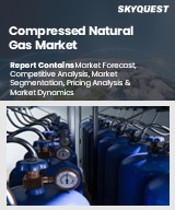 Compressed Natural Gas Market Size, Share, and Growth Analysis, By Application (Transportation, Power Generation), By End Use (Public Transport, Goods Transport), By Fuel Type, By Vehicle Type, By Region - Industry Forecast 2026-2033