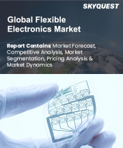 Flexible Electronics Market Size, Share, and Growth Analysis, By Component (Flexible Battery, Flexible Display), By Enterprise (Large, Small and Medium Enterprise), By Application, By End-User, By Region - Industry Forecast 2026-2033