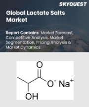 Lactate Salts Market Size, Share, and Growth Analysis, By Type (Sodium Lactate, Calcium Lactate), By Grade (Food Grade, Industrial Grade), By Manufacturing Process, By Application, By End-User, By Region - Industry Forecast 2026-2033